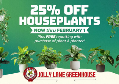 House Plant Sale